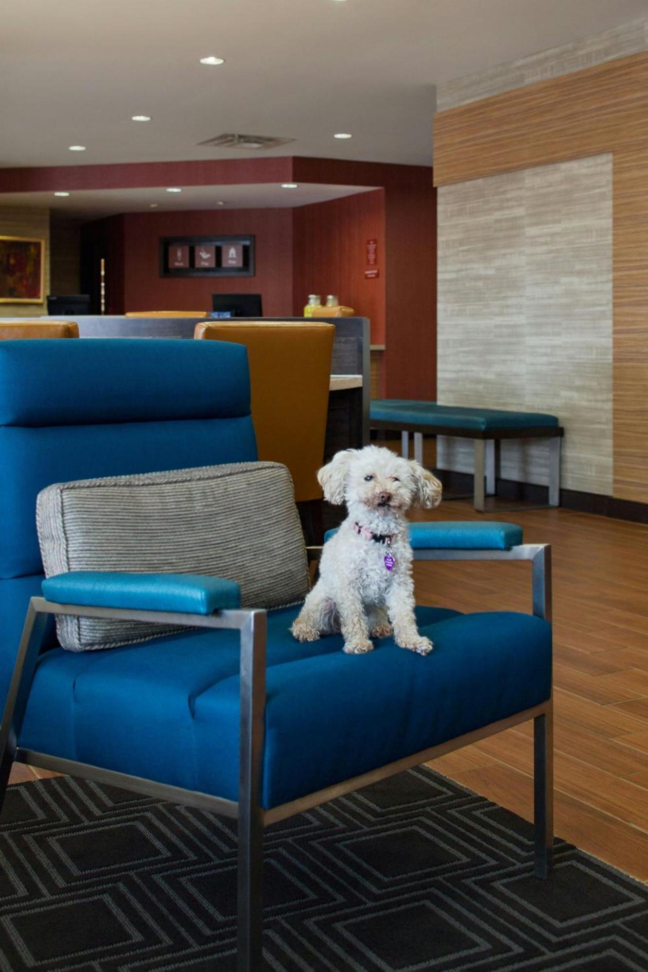 Hotel Towneplace By Marriott Austin 3*